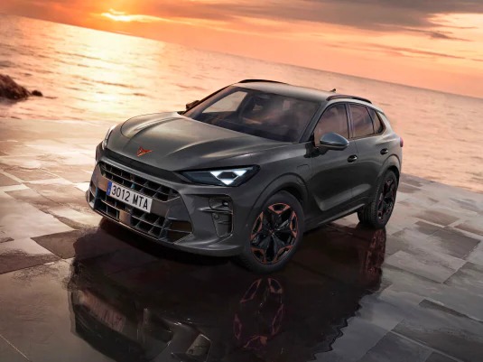 Cupra Terramar - 262 Offer