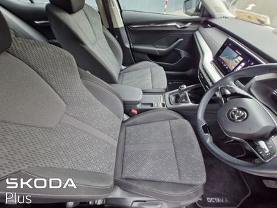 2023 Skoda Octavia