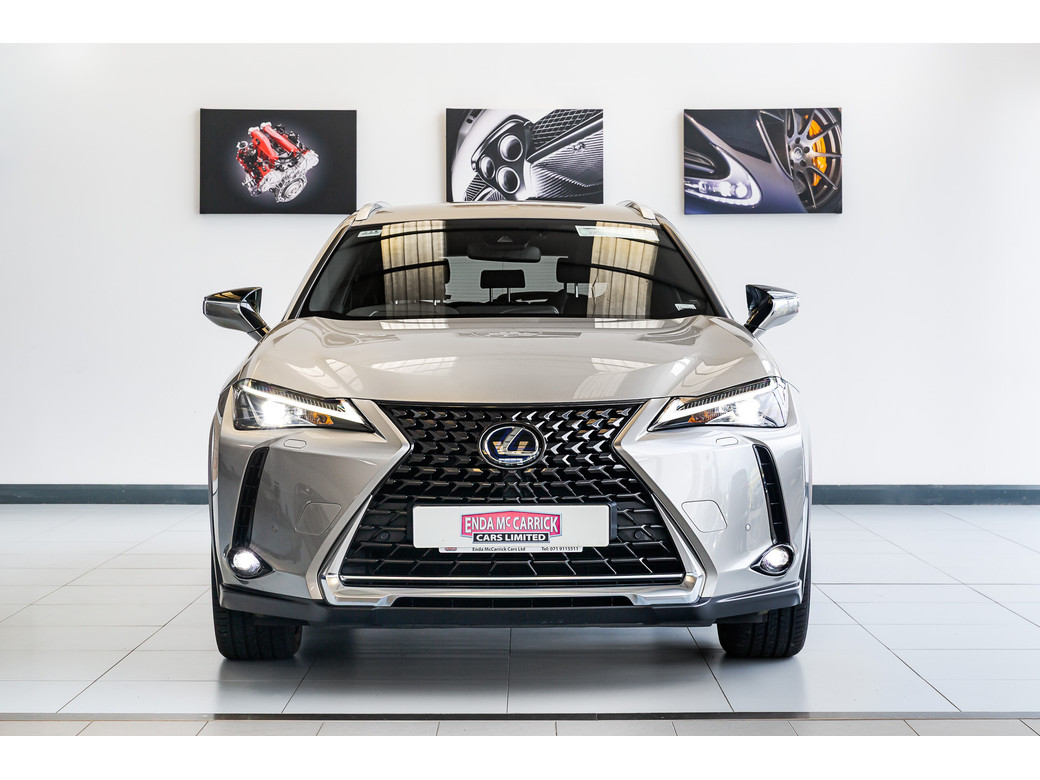 2021 Lexus UX 300e