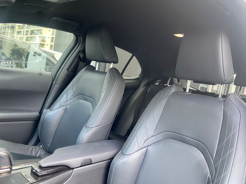 2021 Lexus UX 300e
