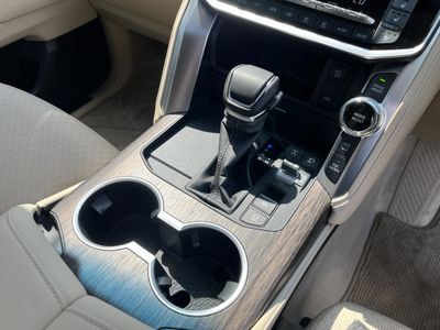2025 Toyota Land Cruiser Amazon