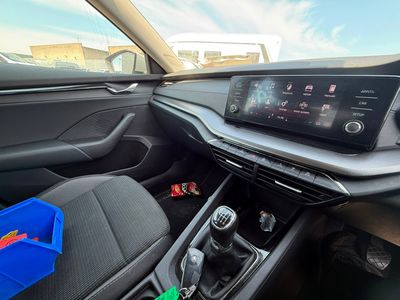 2023 Skoda Octavia