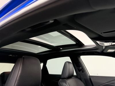 2025 Lexus RX