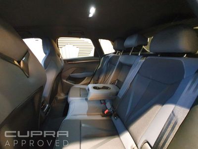 2026 Cupra Terramar
