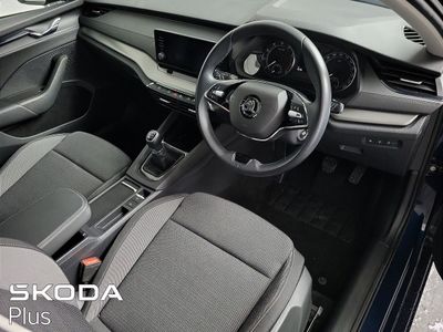 2023 Skoda Octavia