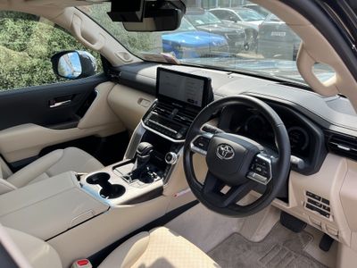2025 Toyota Land Cruiser Amazon