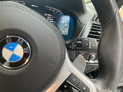 2021 BMW X3