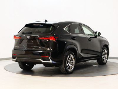 2020 Lexus NX