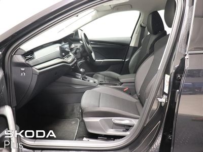 2023 Skoda Octavia