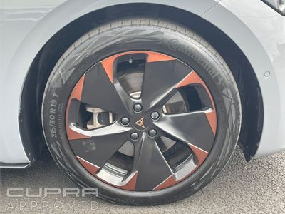 2023 Cupra Born