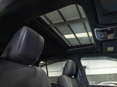2024 Toyota Land Cruiser Amazon