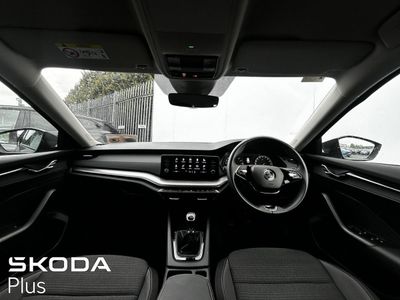 2023 Skoda Octavia