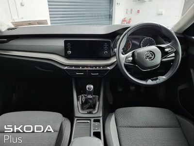 2023 Skoda Octavia