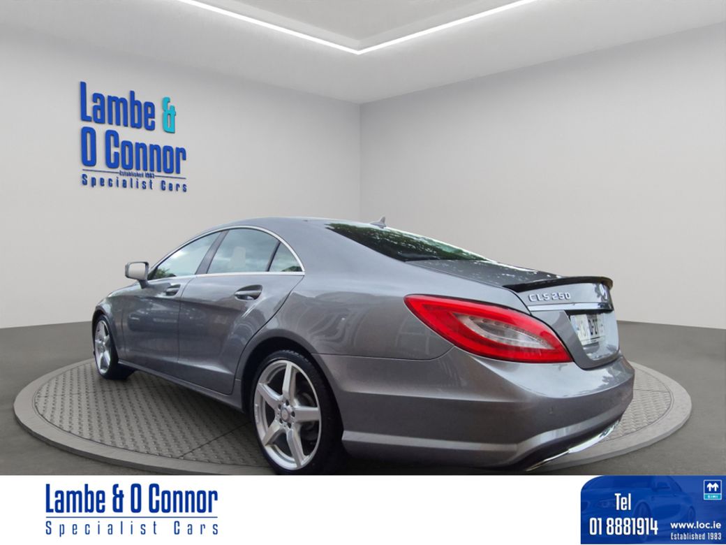 2013 Mercedes-Benz CLS Class