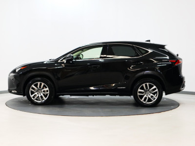 2020 Lexus NX