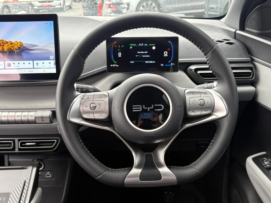 2025 BYD Dolphin Surf