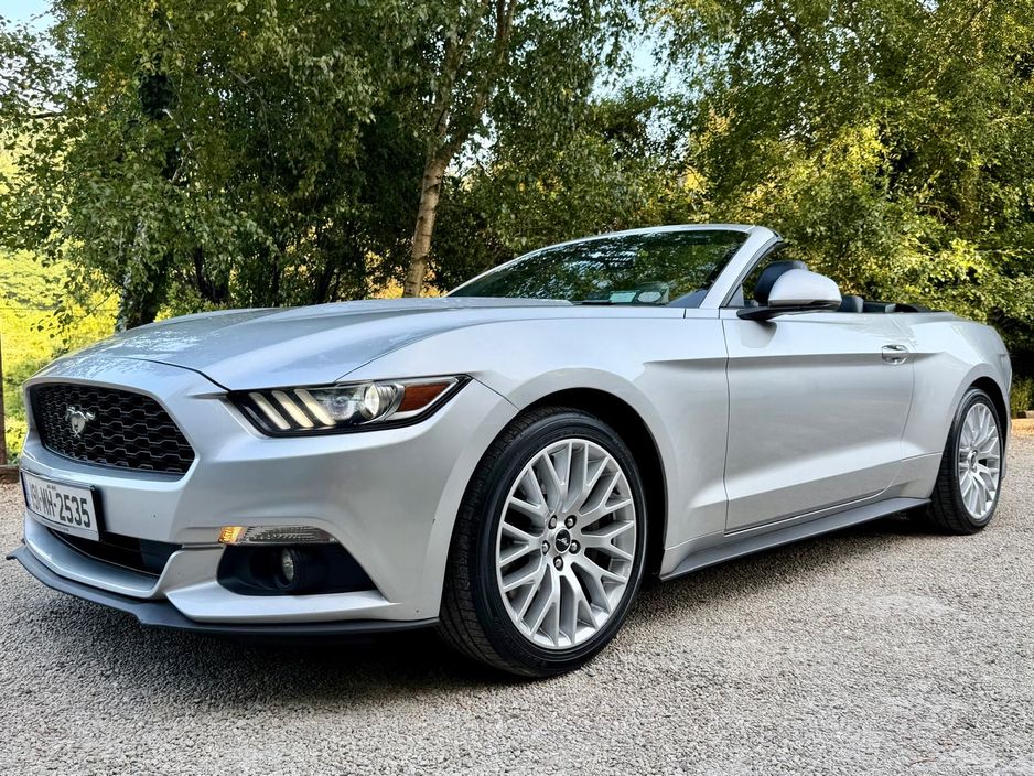 2019 Ford Mustang