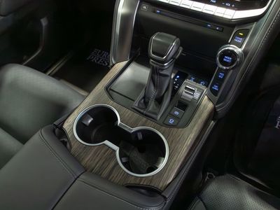 2024 Toyota Land Cruiser Amazon