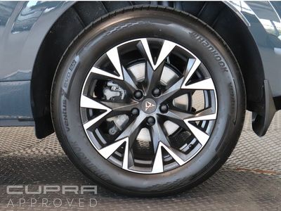 2025 Cupra Terramar