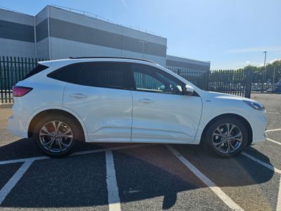2022 Ford Kuga