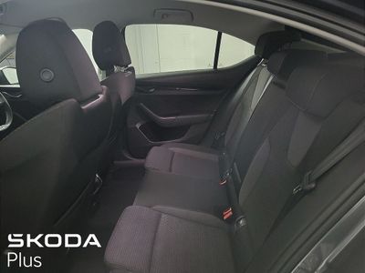 2023 Skoda Octavia
