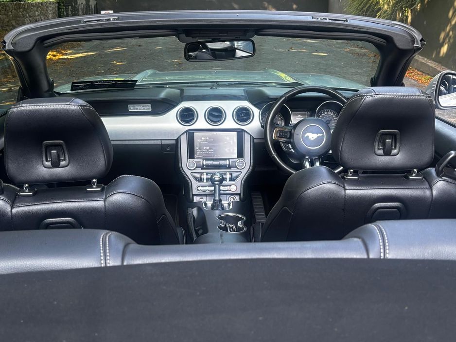 2019 Ford Mustang