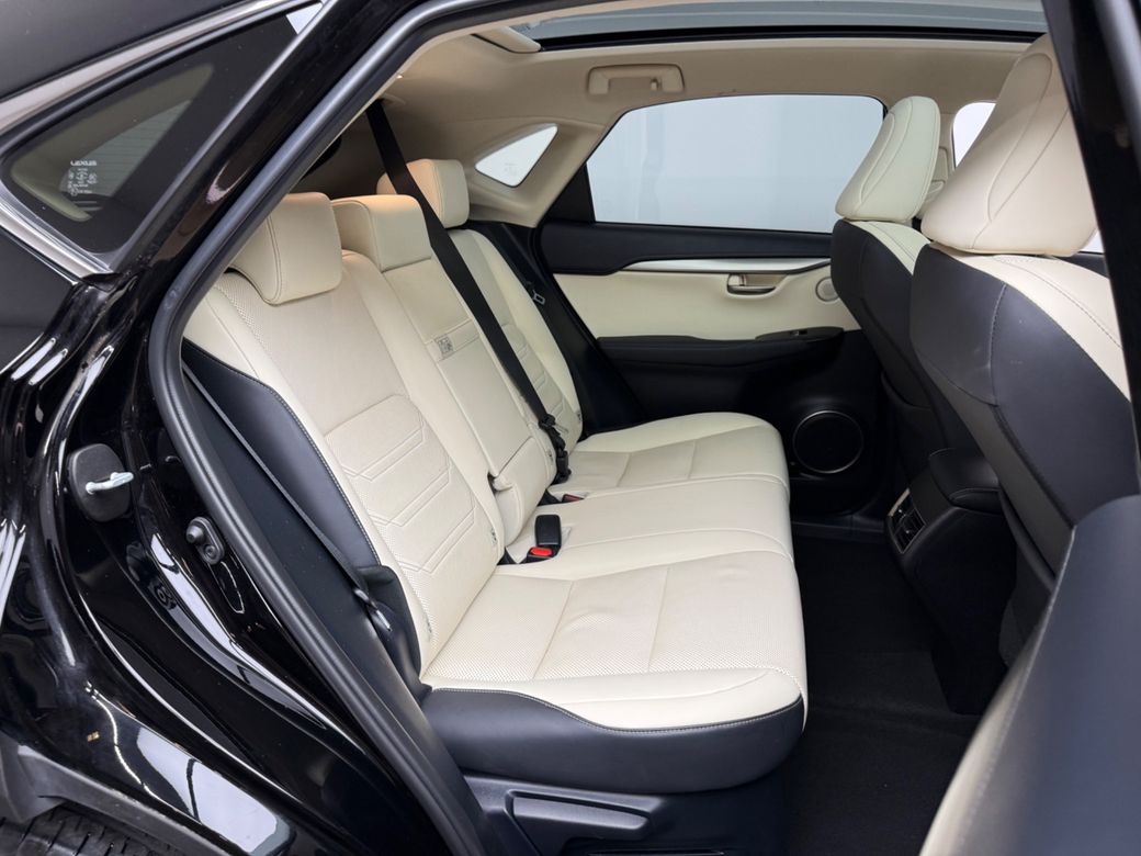 2021 Lexus NX