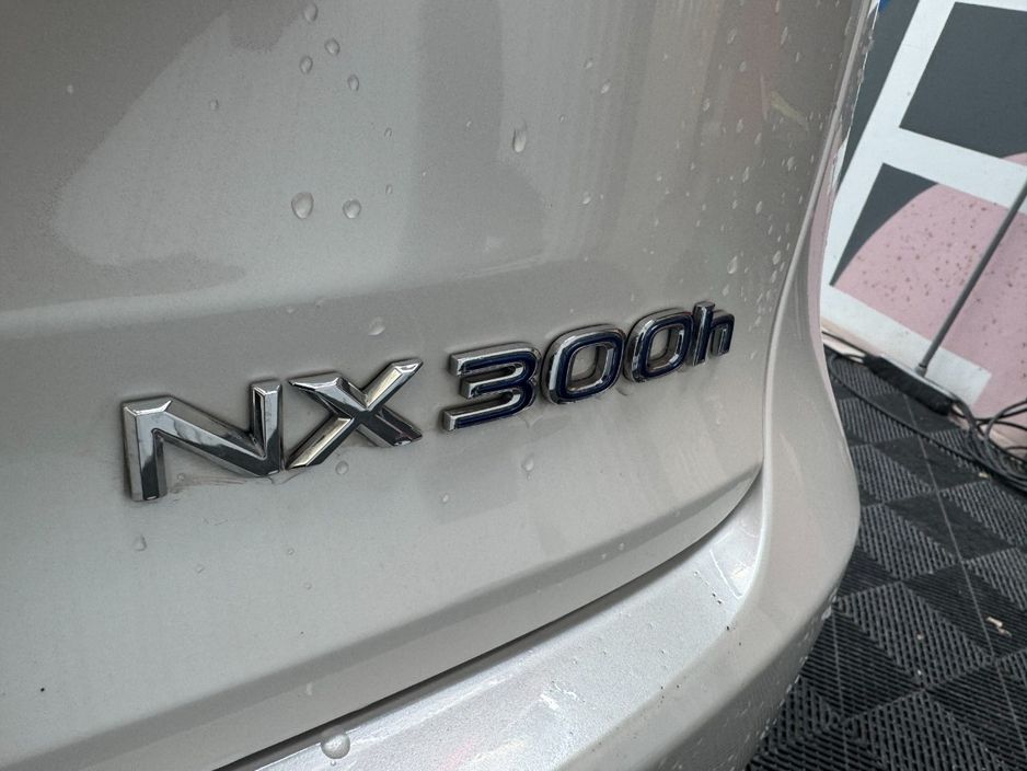 2019 Lexus NX 300h