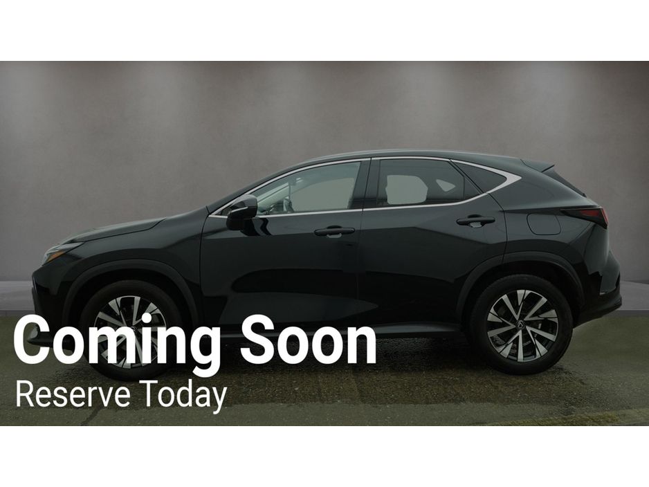 2024 Lexus NX 450H+