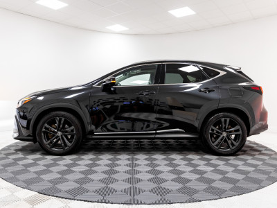 2024 Lexus NX 450H+