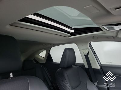 2024 Lexus NX