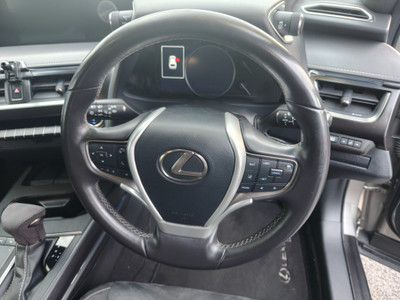2021 Lexus UX 250H