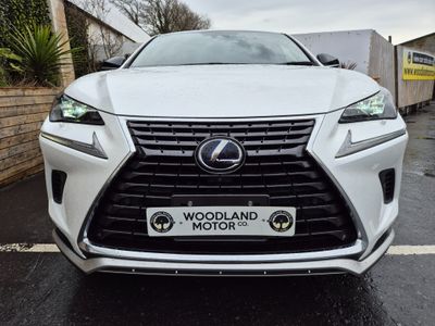 2021 Lexus NX 300h