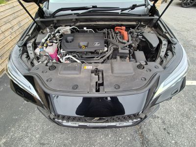 2023 Lexus NX 450H+