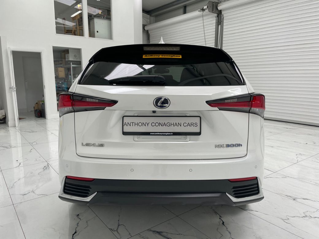 2020 Lexus NX