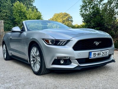2019 Ford Mustang