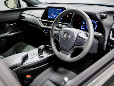 2025 Lexus UX 300e