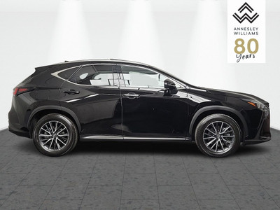 2025 Lexus NX