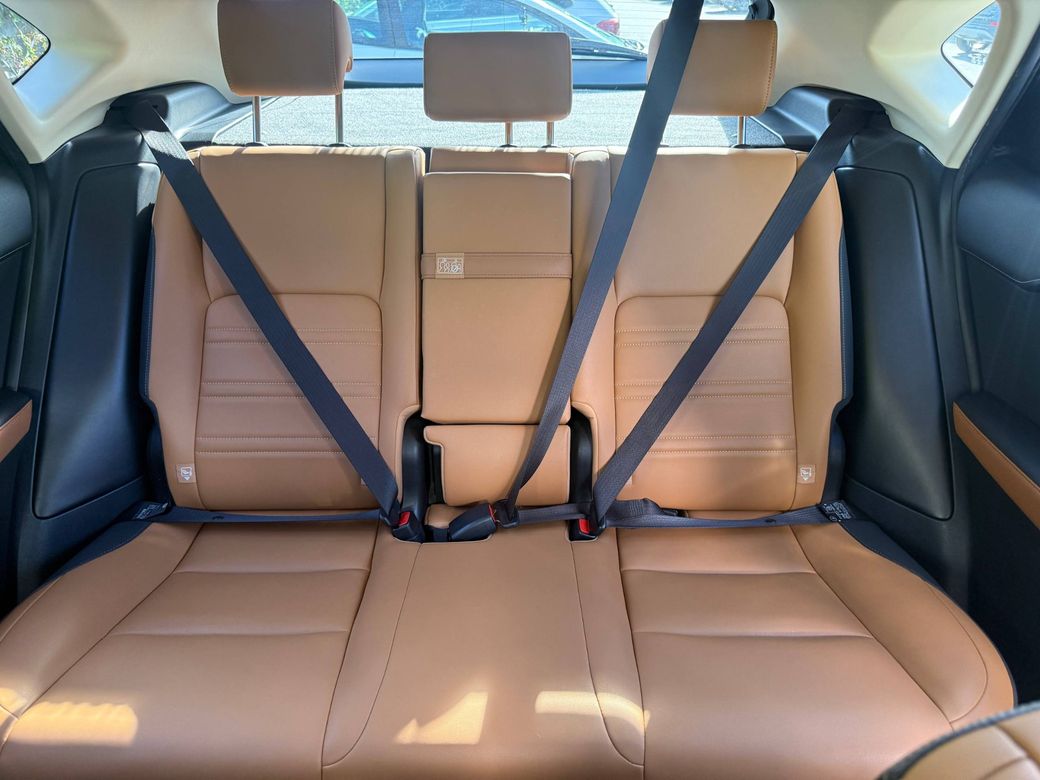 2020 Lexus NX 300h