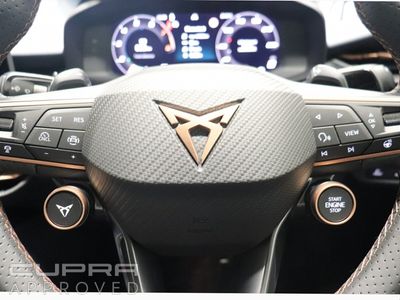 2025 Cupra Terramar