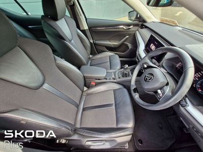 2023 Skoda Octavia