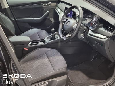2023 Skoda Octavia