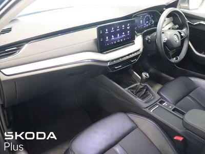 2023 Skoda Octavia
