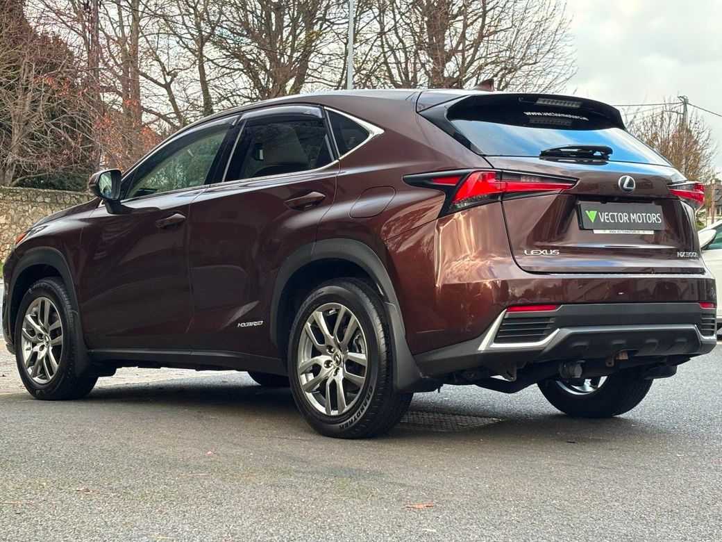 2020 Lexus NX