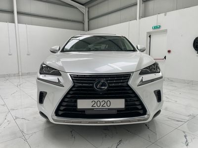 2020 Lexus NX