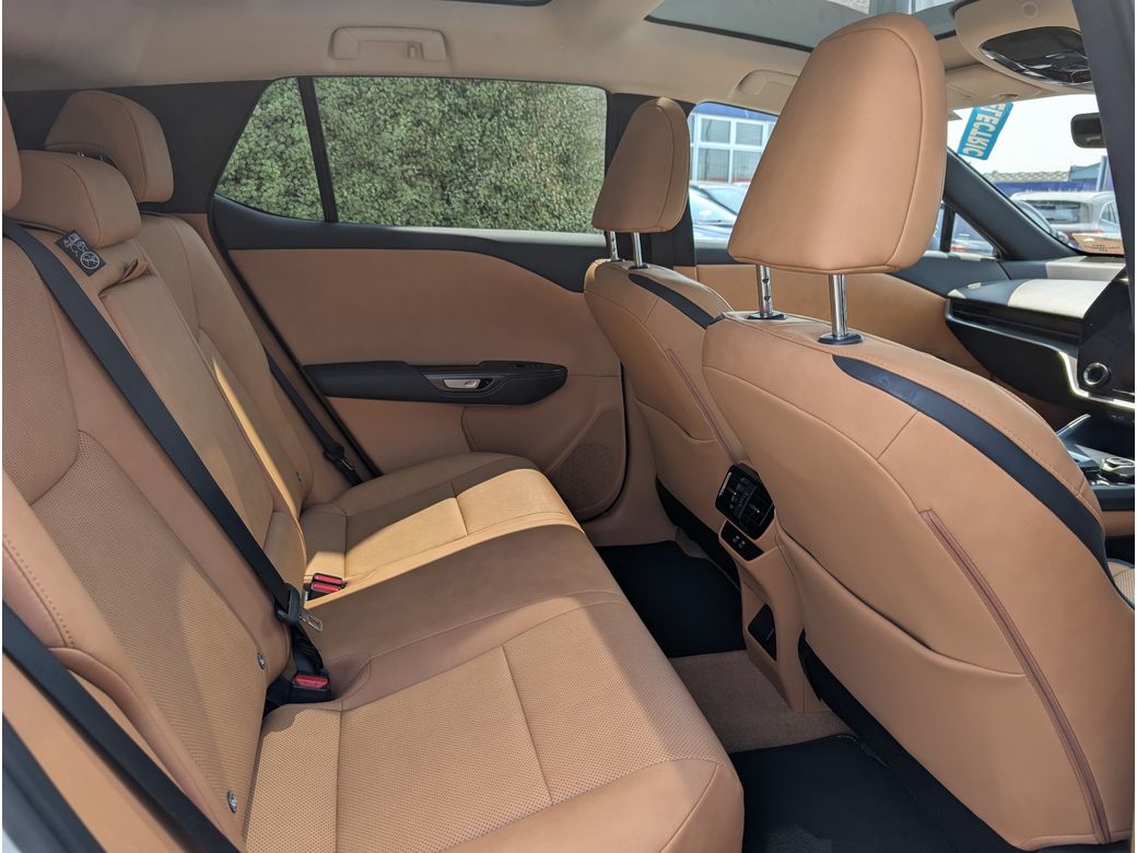 2023 Lexus RZ