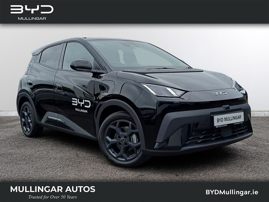 2026 BYD Dolphin Surf