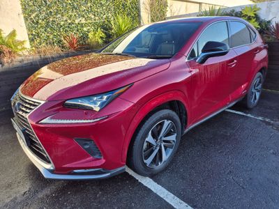 2020 Lexus NX