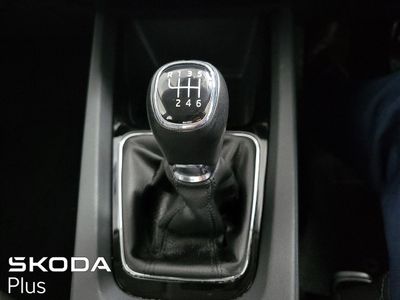 2023 Skoda Octavia