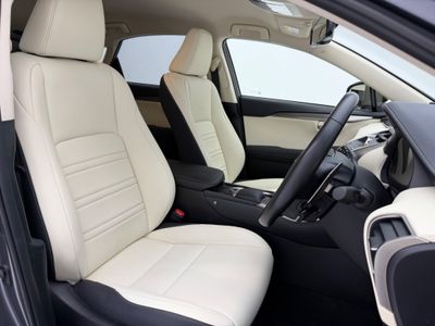 2021 Lexus NX 300h